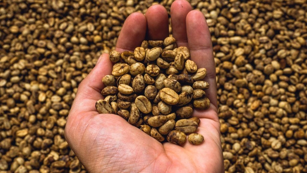 Ist „Kaffee“ ein Getränk, eine Pflanze, oder eine Frucht?