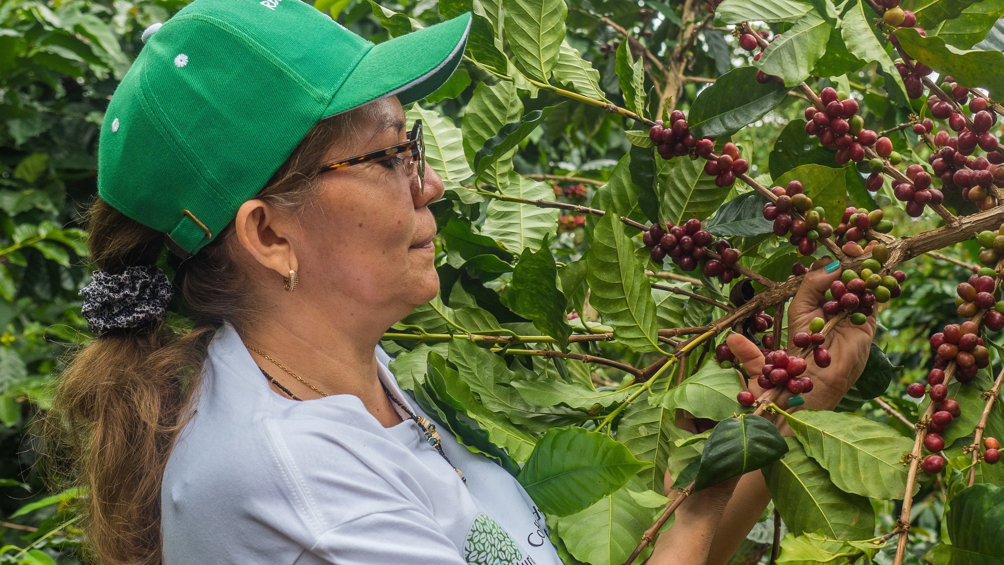 Aus eigener Kraft auf den Kaffee-Gipfel