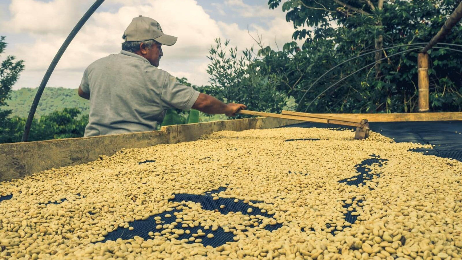 Jaime García and the Guardians of the Sierra Nevada de Santa Marta