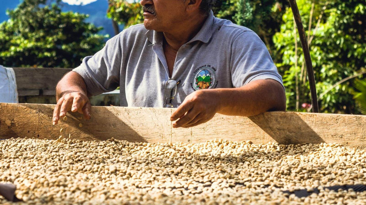 Preisanpassungen zur Unterstützung nachhaltiger Kaffeepraktiken